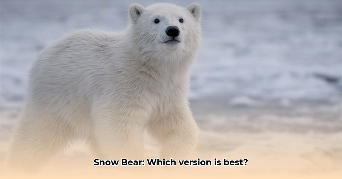 download-snow-bear